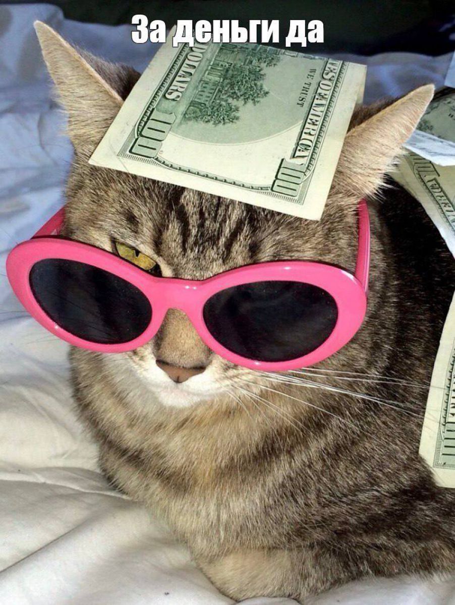 Работа в Санкт-Петербурге под ИНДИ