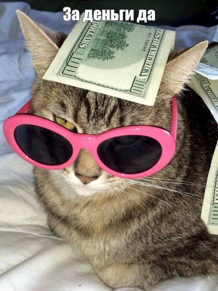 Работа в Санкт-Петербурге под ИНДИ